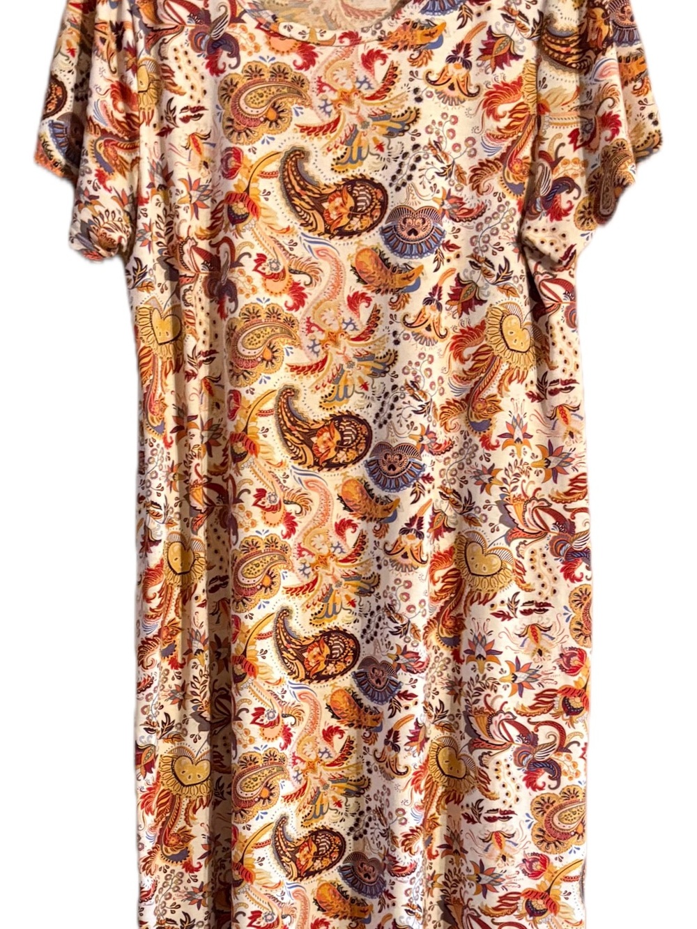 LULAROE Jessie Dress Paisley Floral
3X